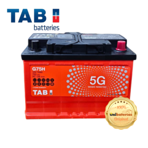 Batería para carro TAB G75H tipo 48
